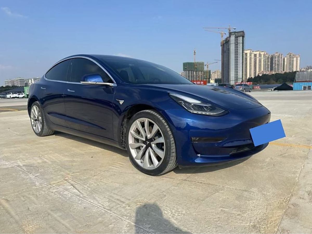 特斯拉 Model 3  2019款 長續(xù)航后驅(qū)版圖片