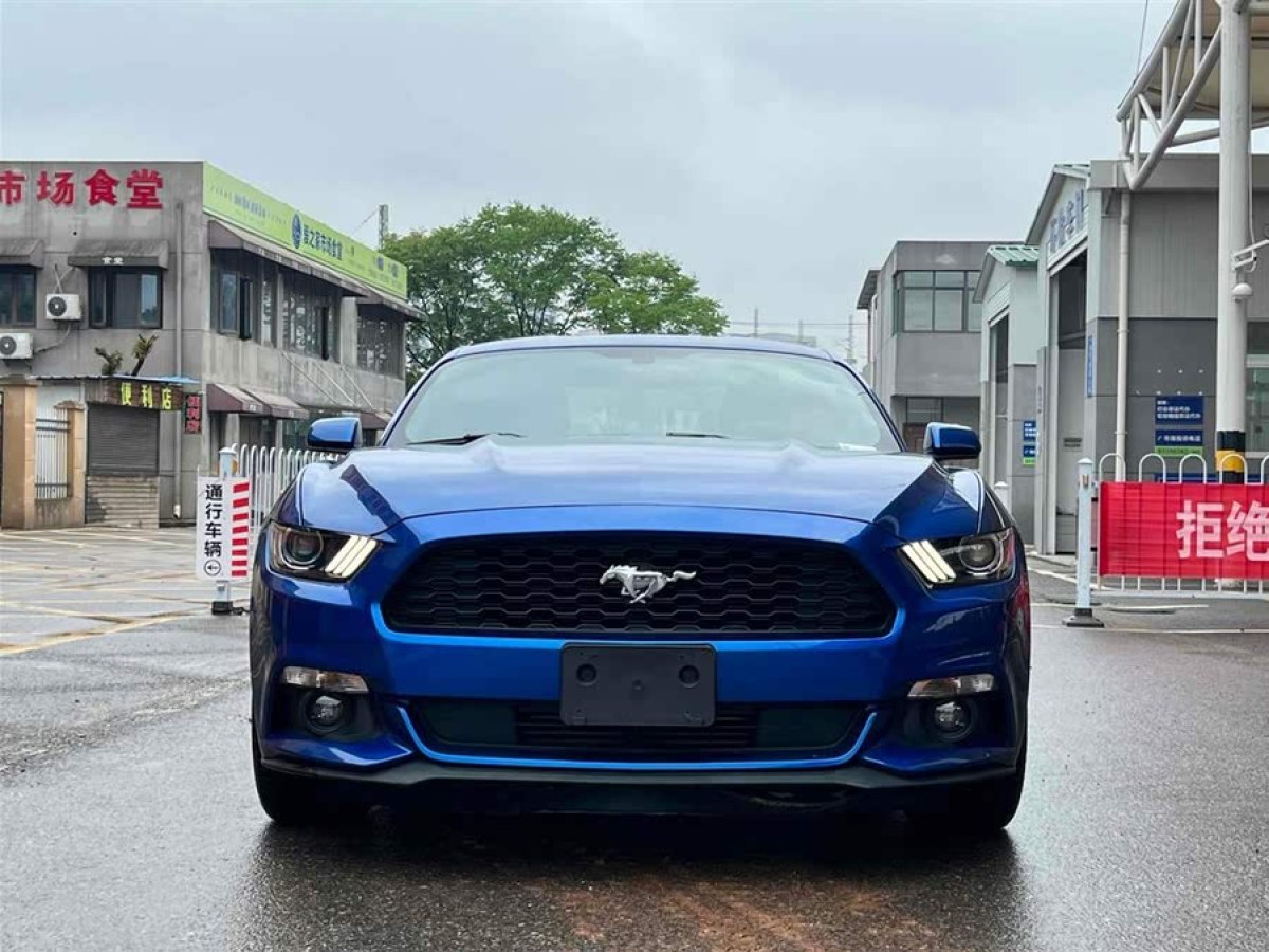福特 Mustang  2016款 2.3T 運動版圖片