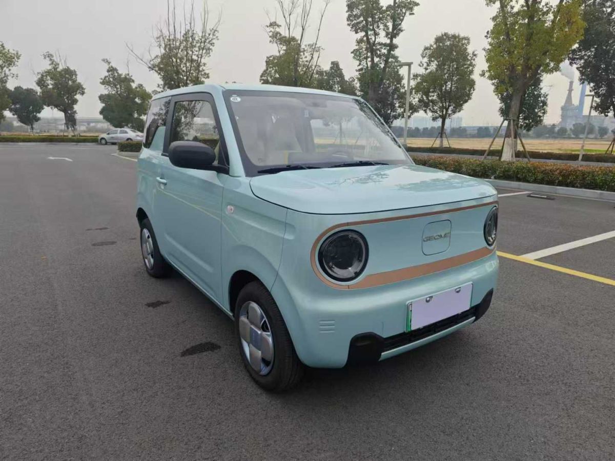 吉利 熊貓mini  2024款 200km 熊貓騎士圖片