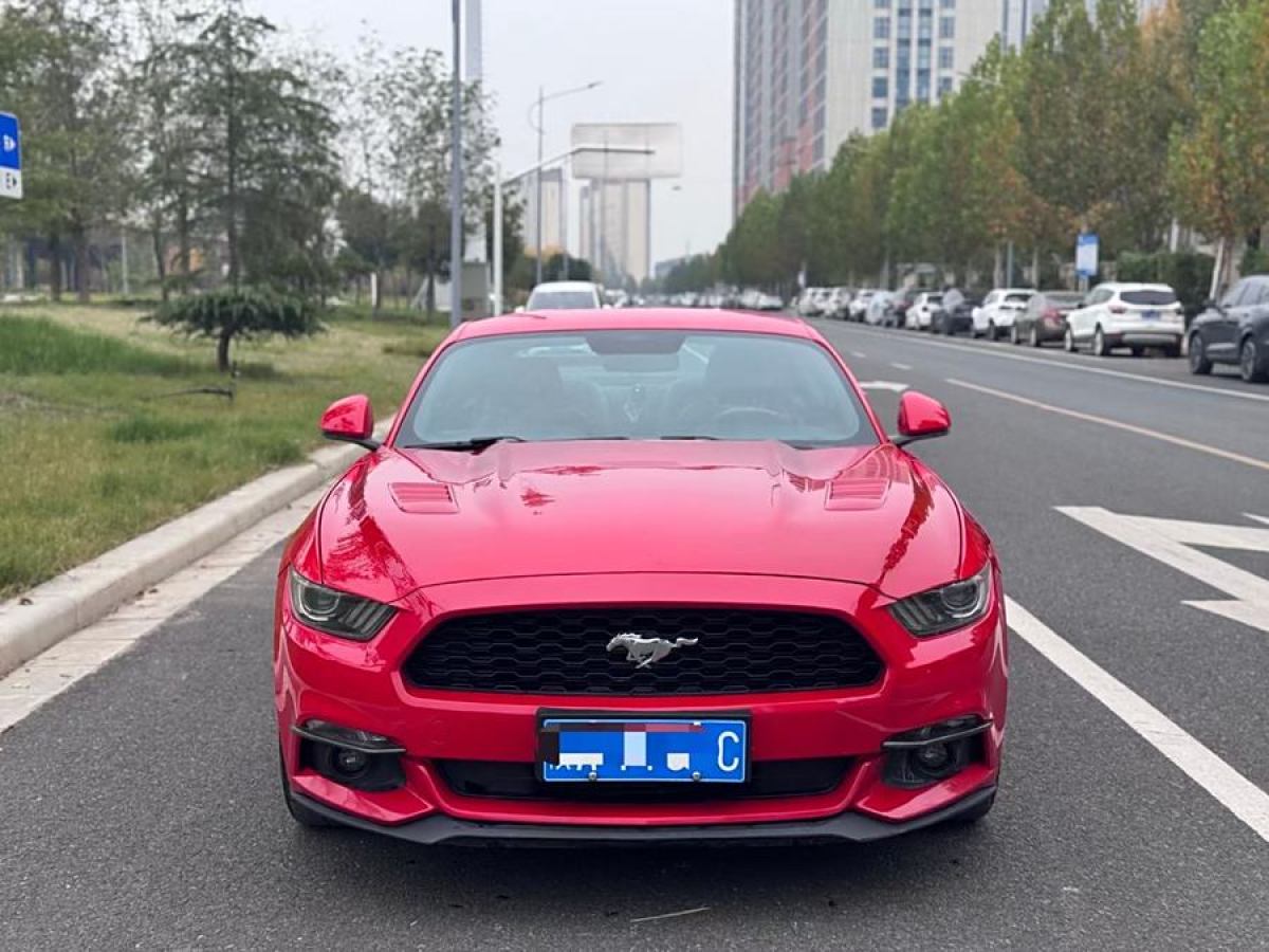 福特 Mustang  2015款 2.3T 性能版圖片