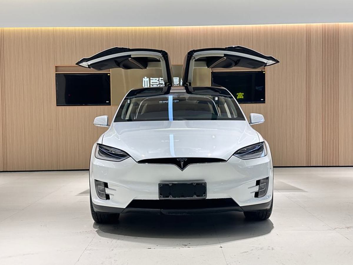 特斯拉 Model X  2016款 Model X 90D圖片