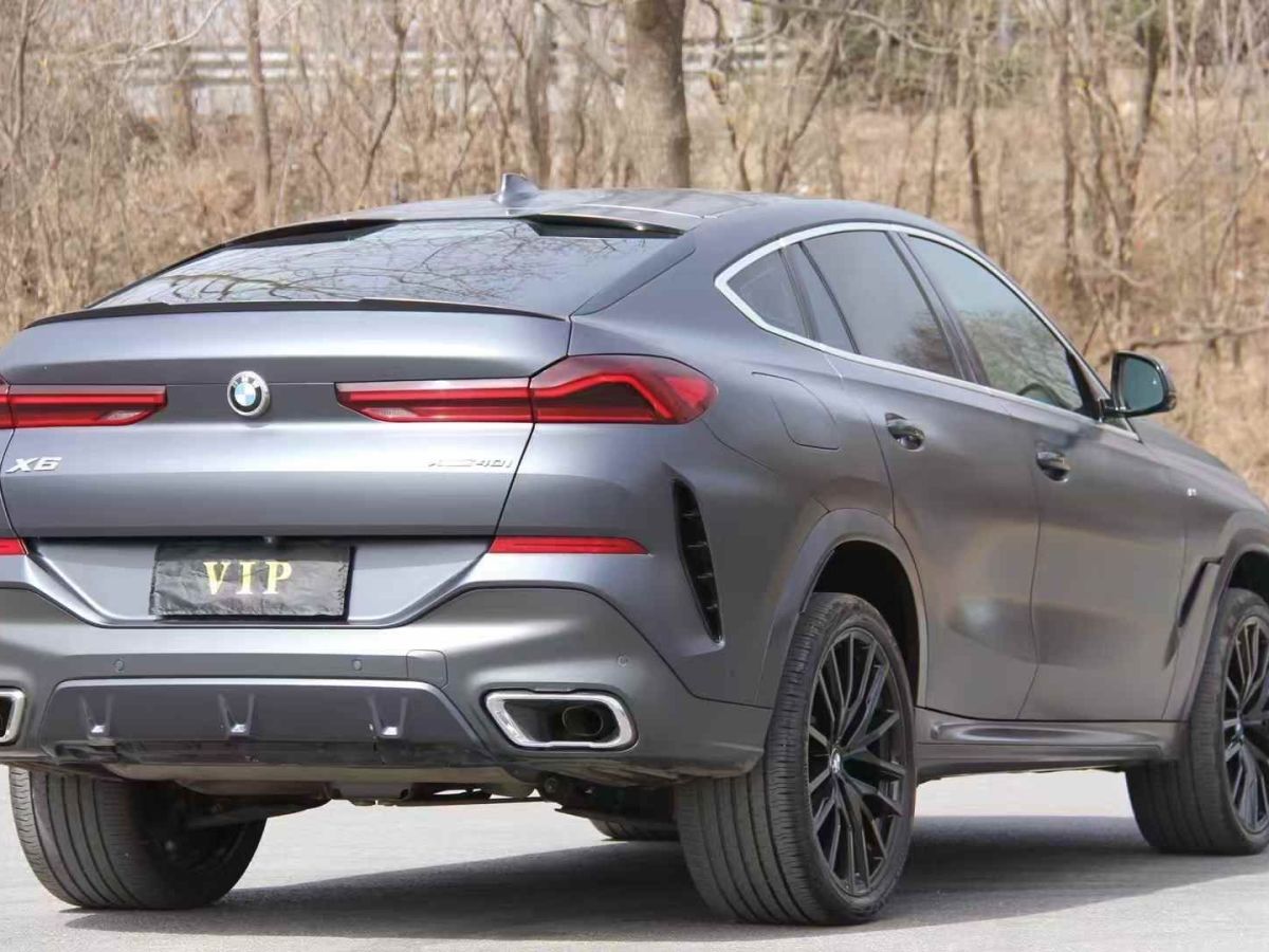 寶馬 寶馬X6  2021款 xDrive40i M運動套裝圖片