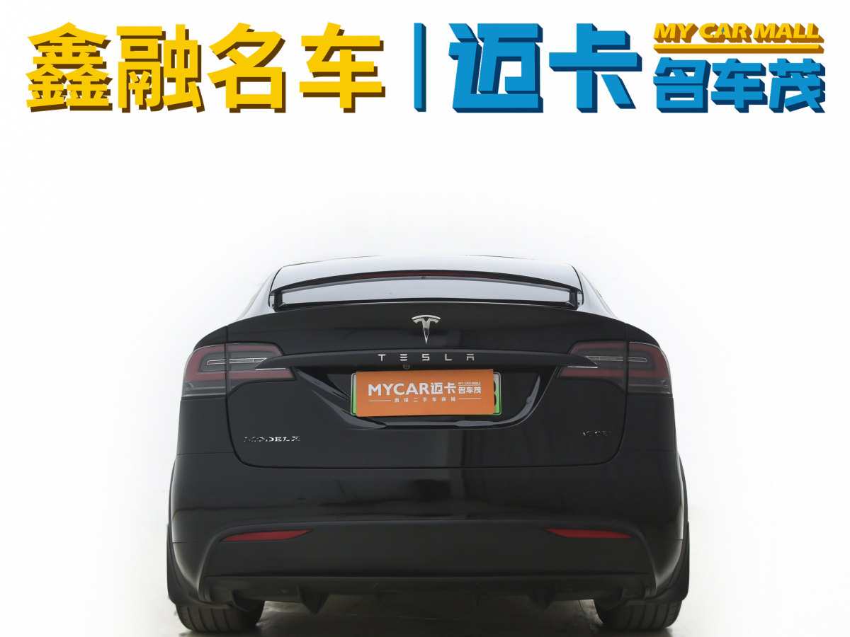 特斯拉 Model X  2017款 Model X 100D 長(zhǎng)續(xù)航版圖片