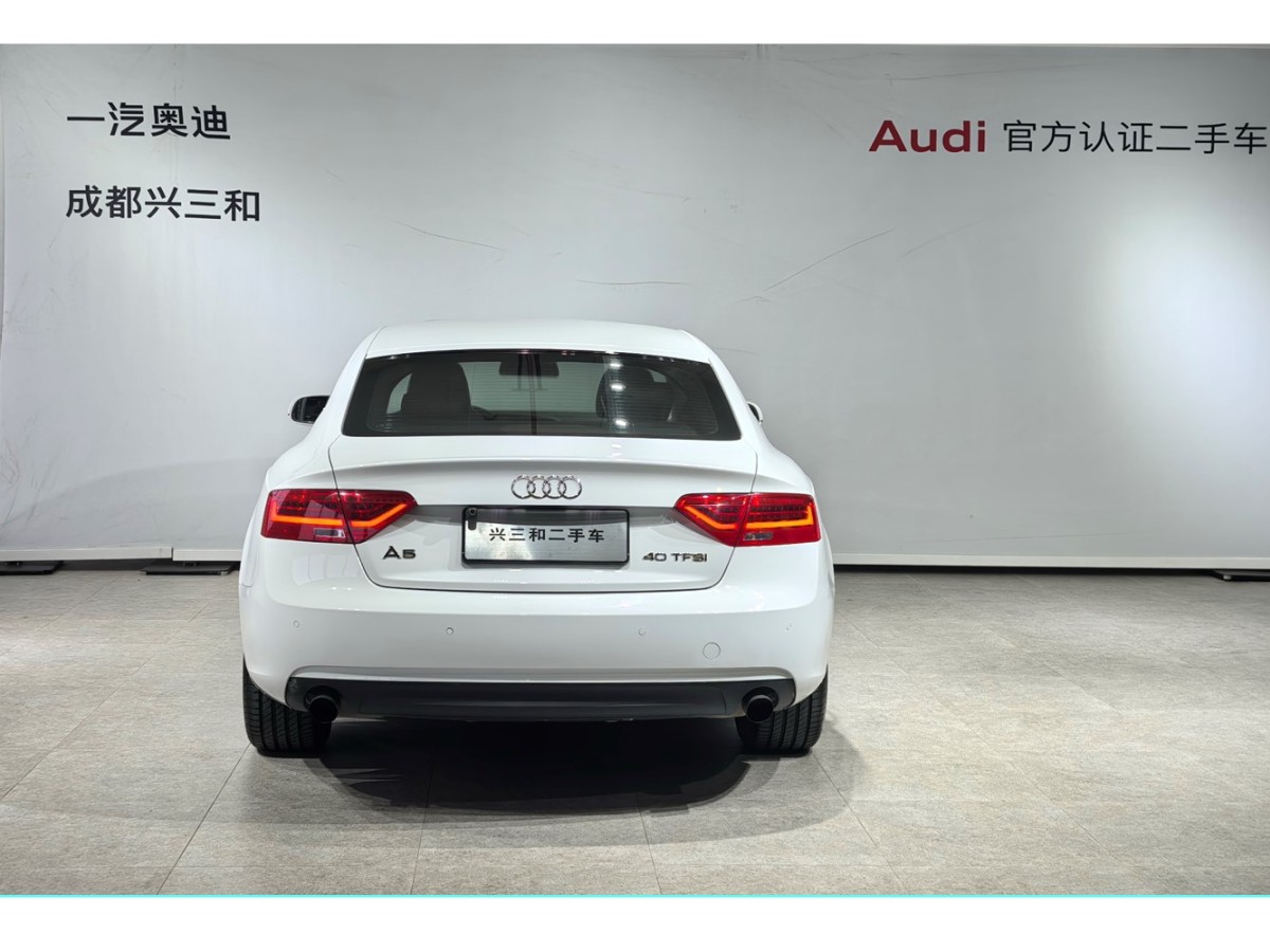 奧迪 奧迪A5  2013款 Sportback 40 TFSI圖片