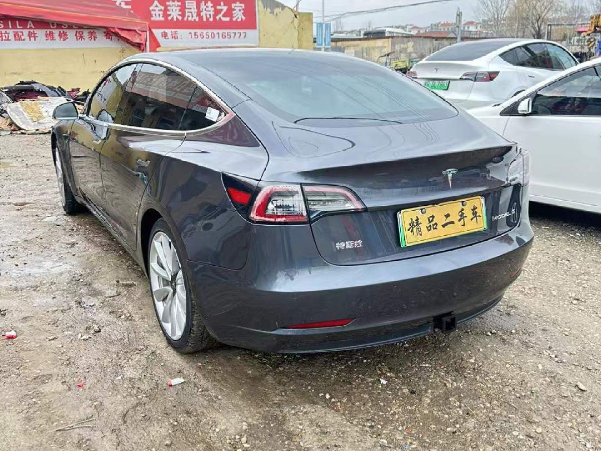 特斯拉 Model 3  2020款 Performance高性能全輪驅(qū)動(dòng)版圖片