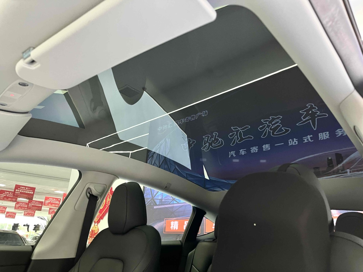 特斯拉 Model Y  2021款 改款 Performance高性能全輪驅(qū)動版圖片