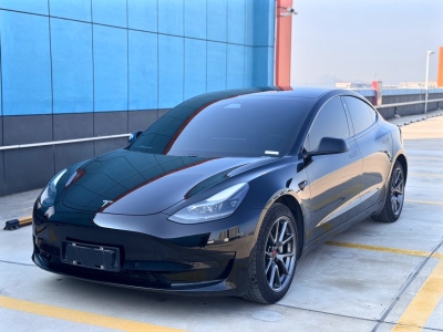 2021年3月 特斯拉 Model 3 標(biāo)準(zhǔn)續(xù)航后驅(qū)升級(jí)版圖片