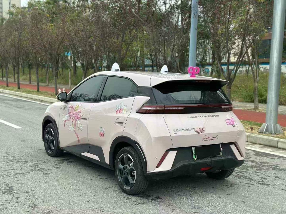 比亞迪 宋L  2024款 550km 卓越型圖片