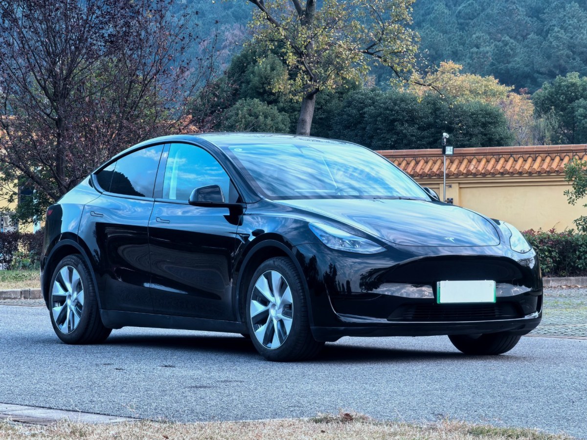  特斯拉 Model Y 2022款 后輪驅(qū)動版圖片