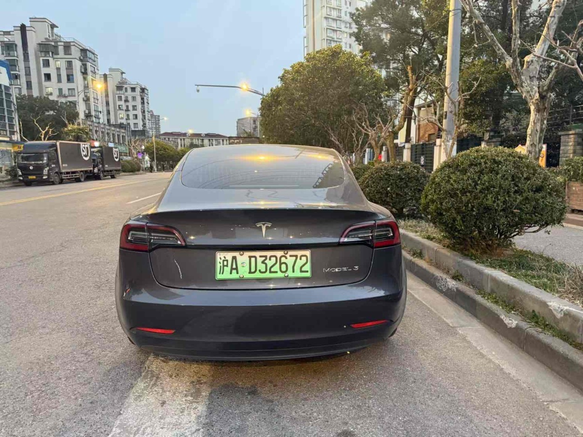 特斯拉 Model 3  2019款 標(biāo)準(zhǔn)續(xù)航后驅(qū)升級(jí)版圖片