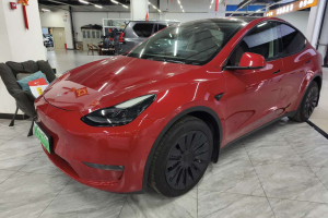 Model Y 特斯拉 標(biāo)準(zhǔn)續(xù)航后驅(qū)版