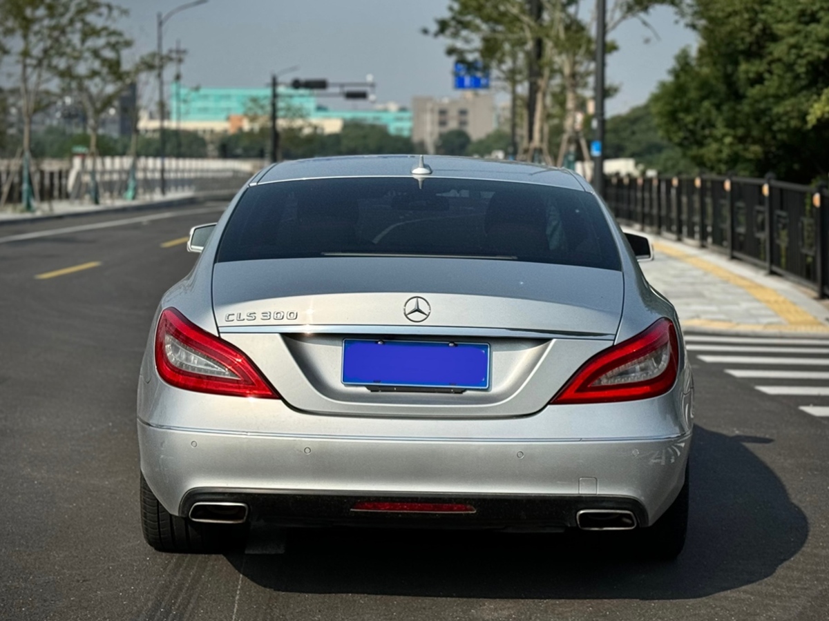 奔馳 奔馳CLS級(jí)  2012款 CLS 300 CGI圖片