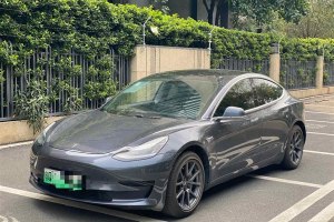 Model 3 特斯拉 標(biāo)準(zhǔn)續(xù)航后驅(qū)升級(jí)版