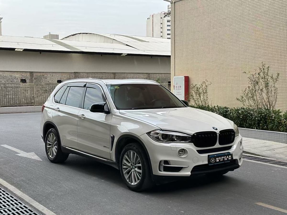 寶馬 寶馬X5  2014款 xDrive35i 領(lǐng)先型圖片