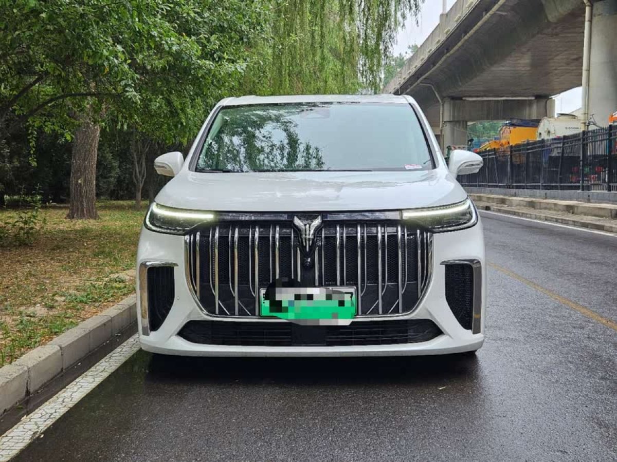 嵐圖 夢(mèng)想家  2024款 PHEV 超長(zhǎng)續(xù)航旗艦版圖片