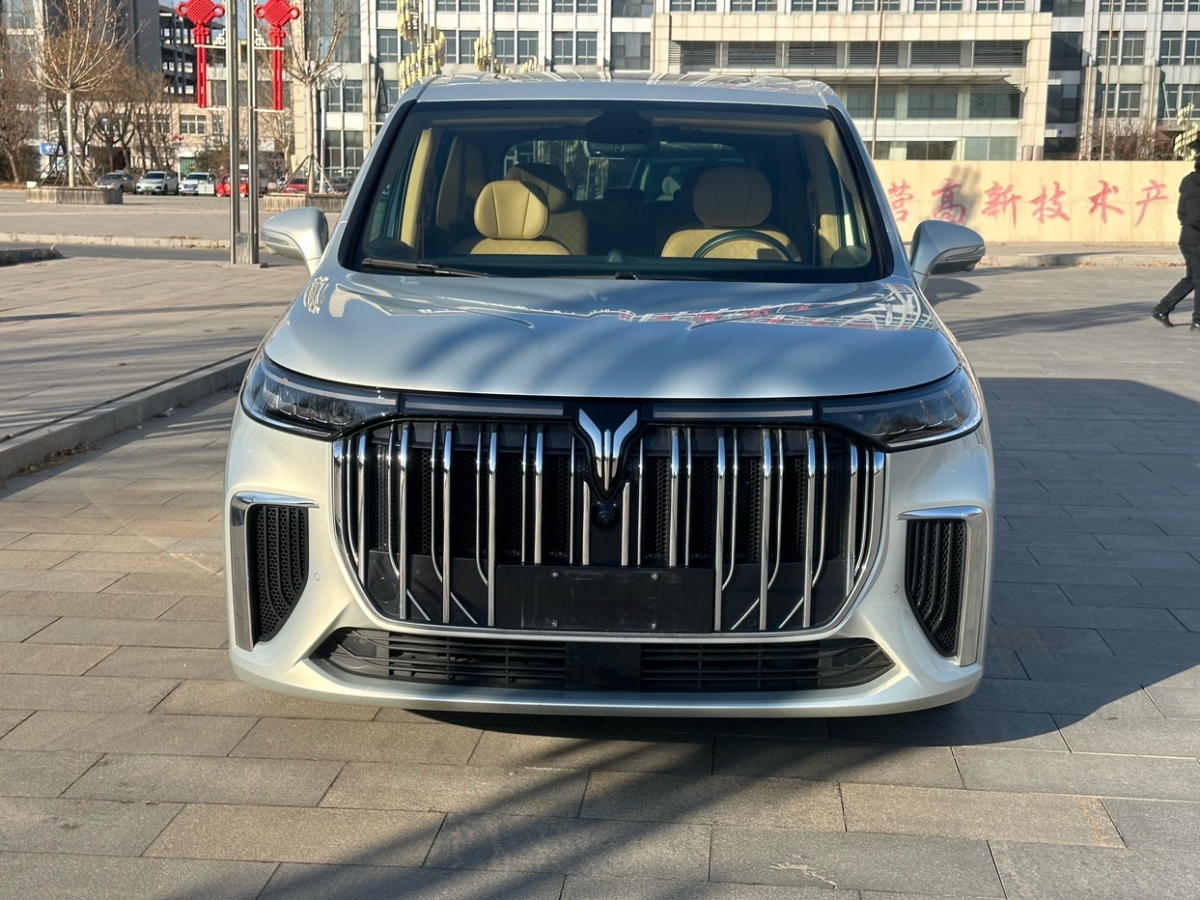 嵐圖 夢想家  2024款 PHEV 超長續(xù)航卓越版圖片