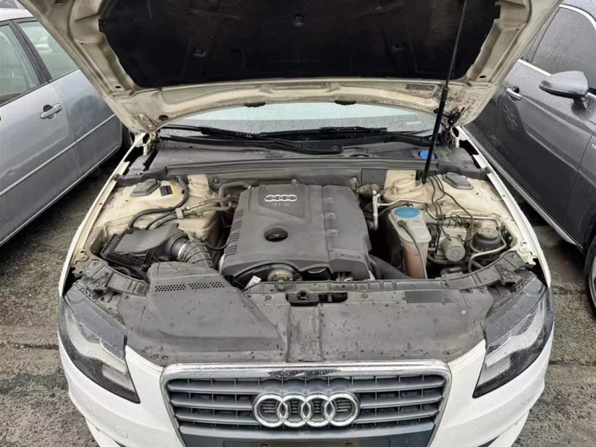奧迪 奧迪A4L  2012款 2.0 TFSI 自動舒適型圖片