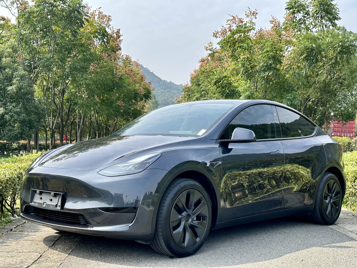 特斯拉 Model Y  2020款 改款 長續(xù)航后輪驅(qū)動版圖片