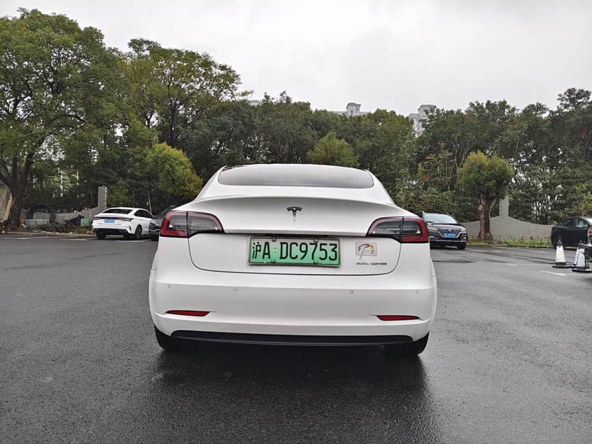 特斯拉 Model 3  2019款 長續(xù)航全輪驅(qū)動版圖片