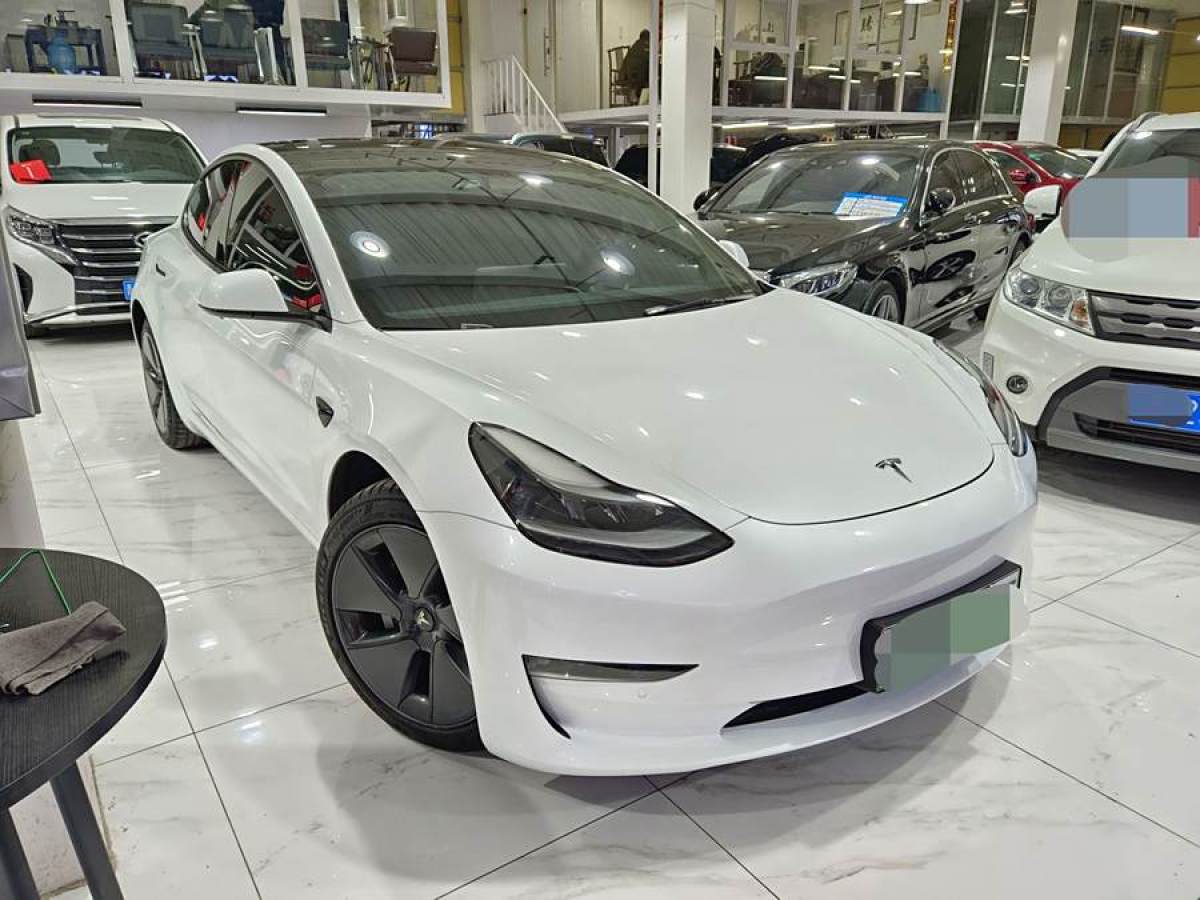 特斯拉 Model 3  2021款 改款 標(biāo)準(zhǔn)續(xù)航后驅(qū)升級(jí)版圖片