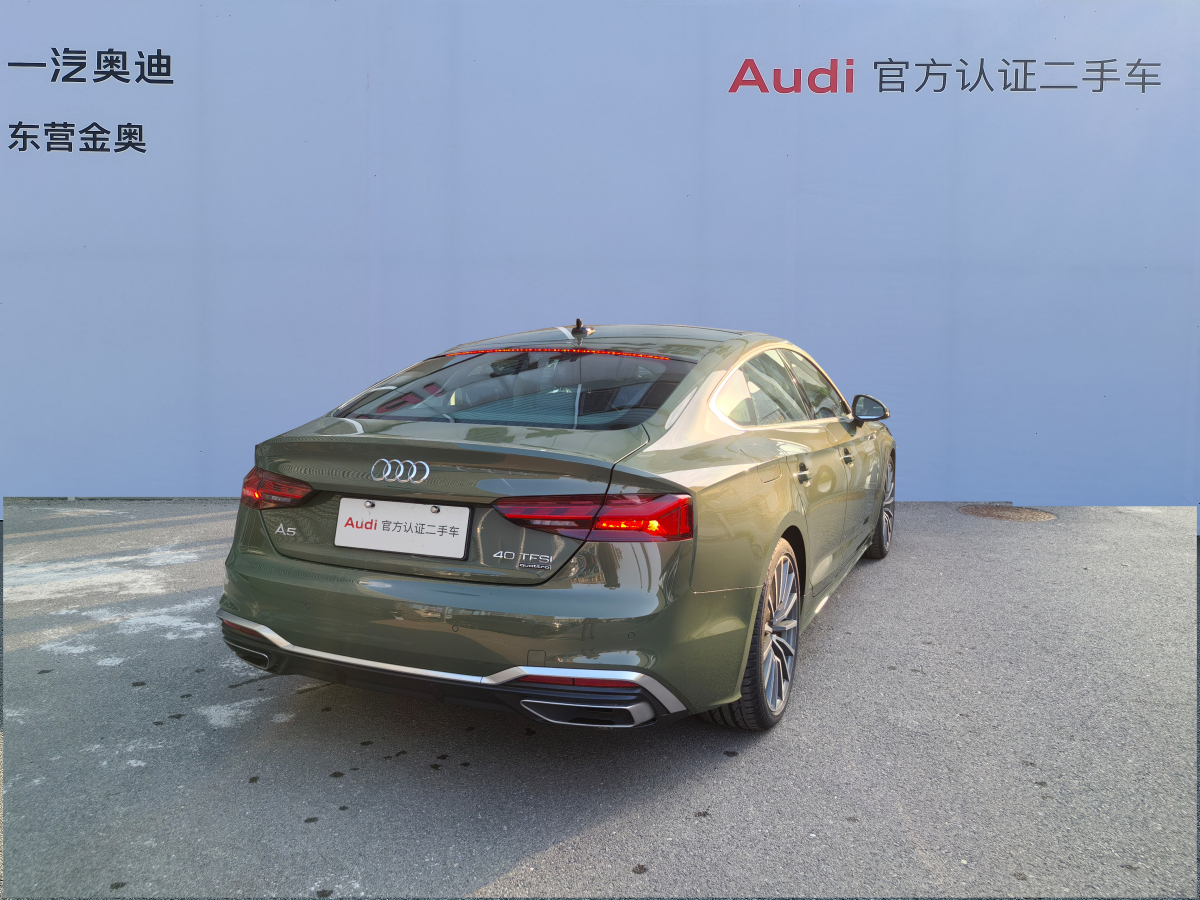 奧迪 奧迪A5  2023款 Sportback 40 TFSI quattro 豪華動(dòng)感型圖片