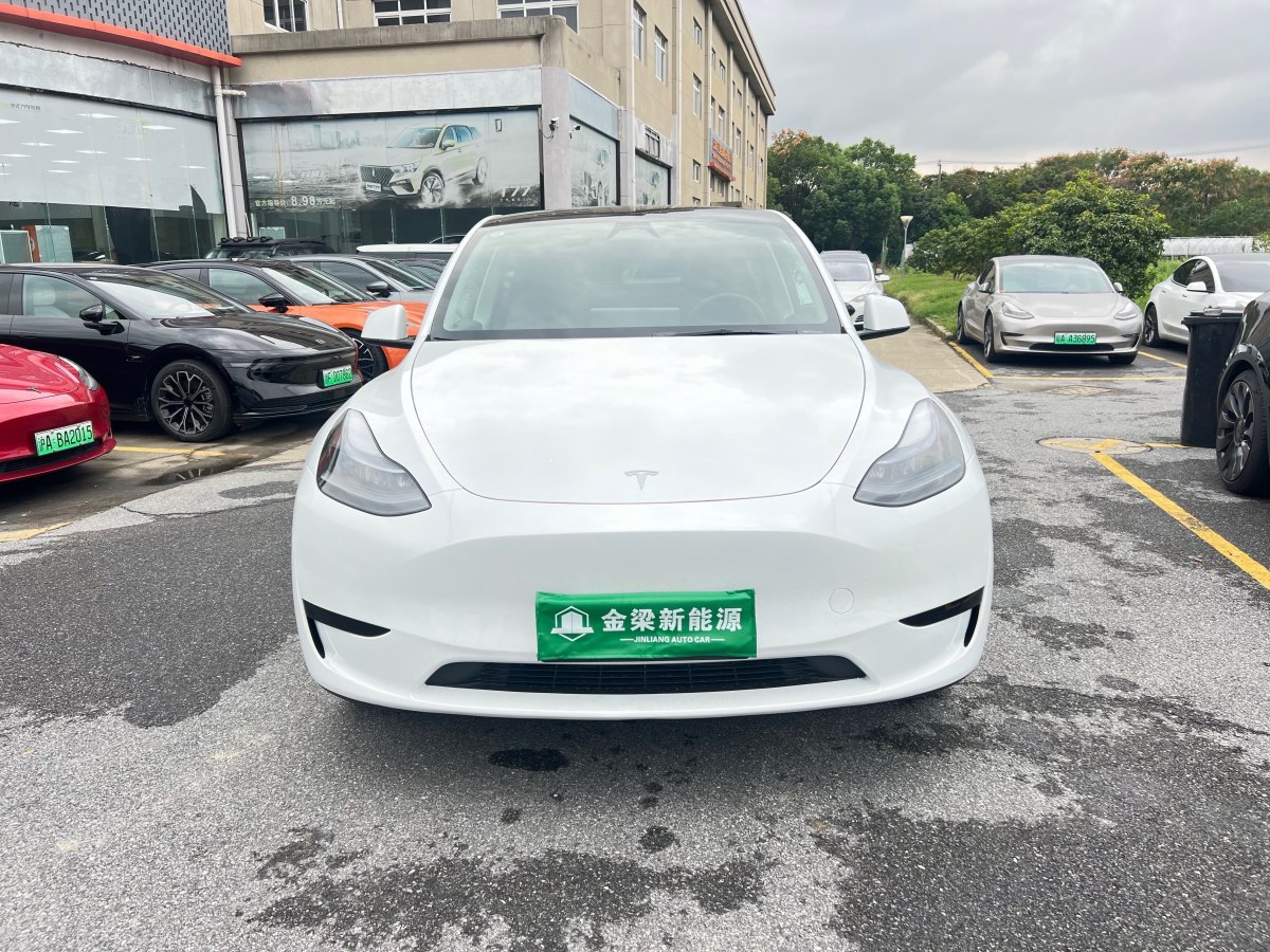 特斯拉 Model 3  2020款 改款 長續(xù)航后輪驅(qū)動版圖片