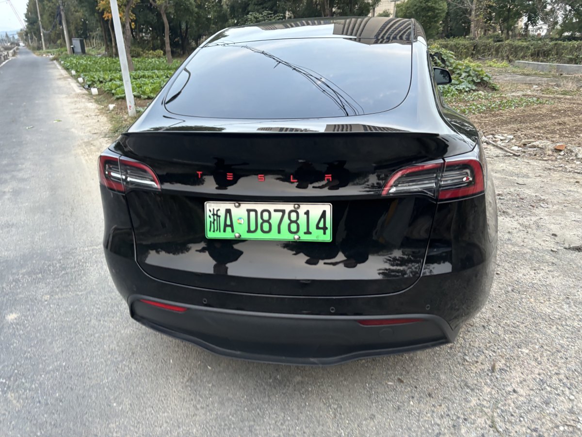 特斯拉 Model 3  2022款 后輪驅(qū)動(dòng)版圖片