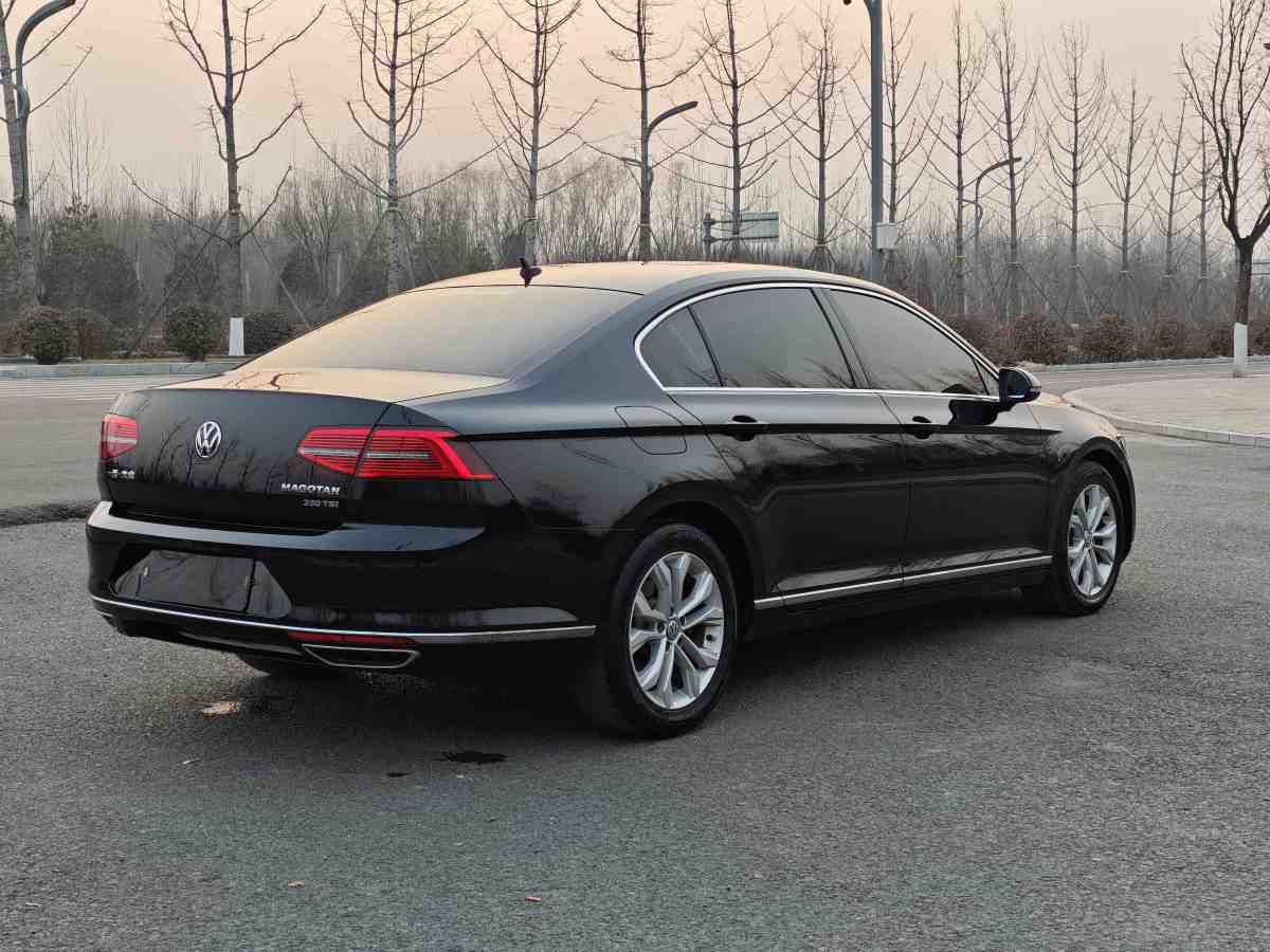 大眾 邁騰  2019款  330TSI DSG 豪華型 國(guó)VI圖片