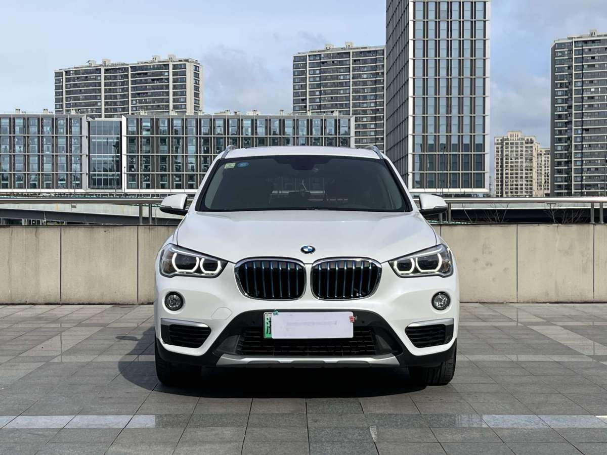 寶馬 寶馬X1新能源  2019款 xDrive25Le 豪華型圖片