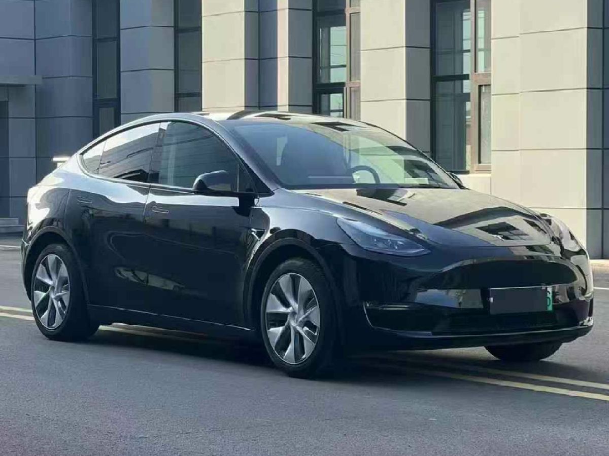 特斯拉 Model 3  2022款 Performance高性能全輪驅(qū)動版圖片