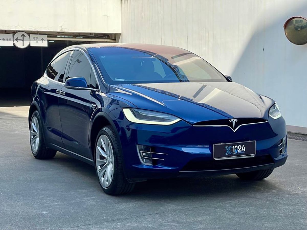 特斯拉 Model X  2020款 長(zhǎng)續(xù)航升級(jí)版圖片