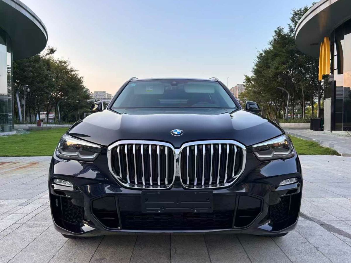 寶馬 寶馬X5  2021款 xDrive30i X設(shè)計(jì)套裝圖片