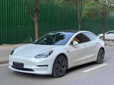 2020年1月 特斯拉 Model 3 改款 標(biāo)準(zhǔn)續(xù)航后驅(qū)升級(jí)版圖片