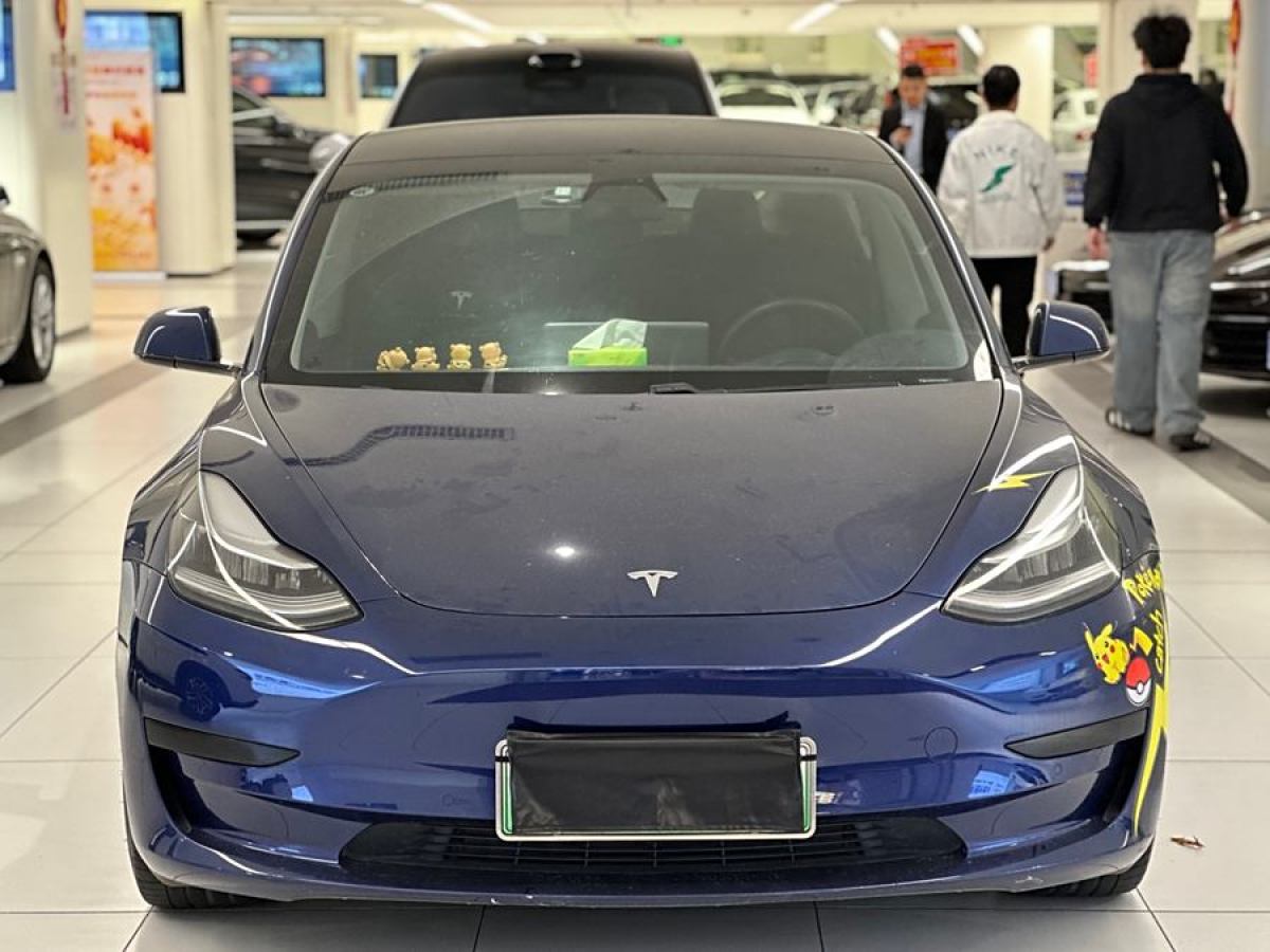 特斯拉 Model 3  2020款 改款 標(biāo)準(zhǔn)續(xù)航后驅(qū)升級版圖片