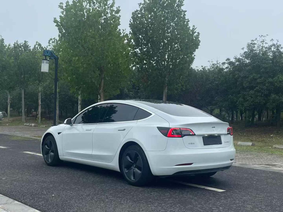 特斯拉 Model 3  2020款 標(biāo)準(zhǔn)續(xù)航后驅(qū)升級(jí)版圖片