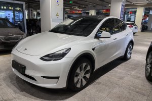 Model Y 特斯拉 后轮驱动版