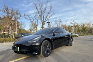 Model 3 特斯拉 标准续航后驱升级版