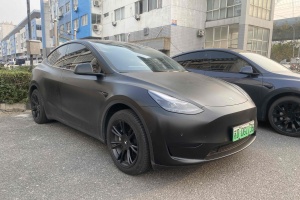 Model Y 特斯拉 改款 长续航后轮驱动版