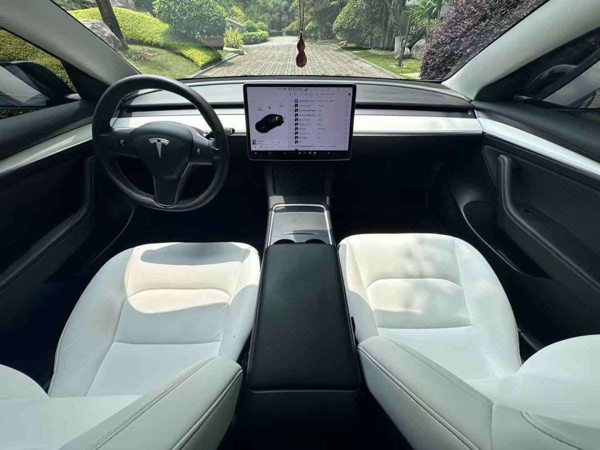 特斯拉 Model S  2021款 Performance 高性能版圖片
