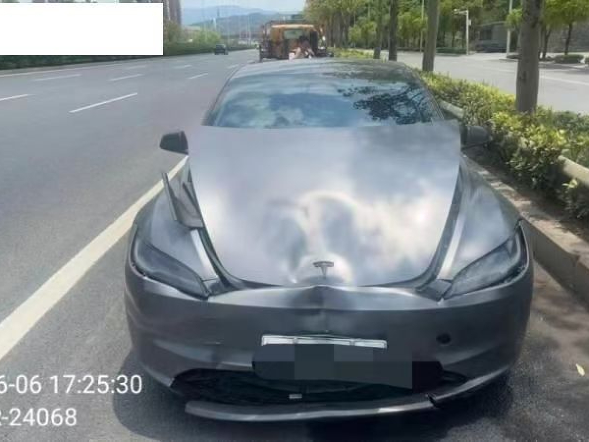 特斯拉 Model 3  2019款 Performance高性能全輪驅(qū)動版圖片