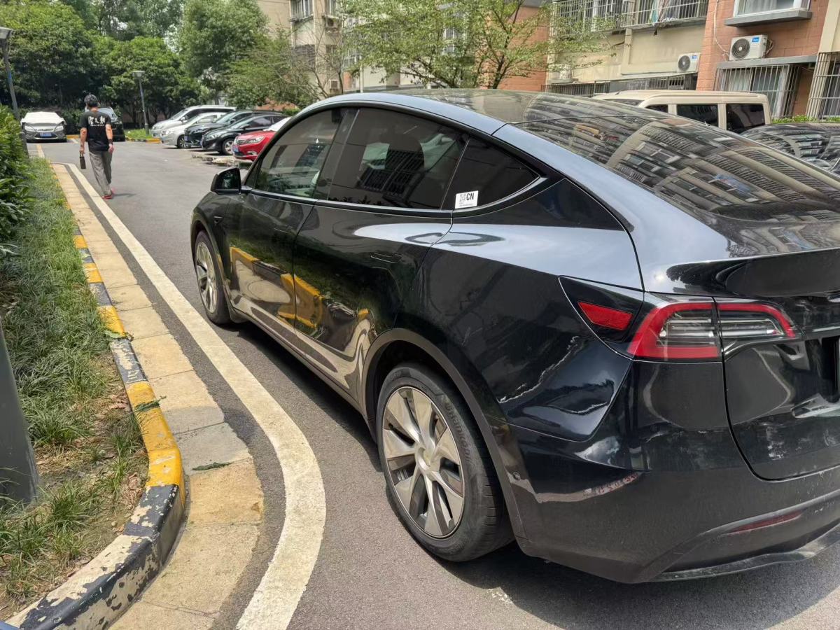 特斯拉 Model Y  2021款 標(biāo)準(zhǔn)續(xù)航后驅(qū)版圖片