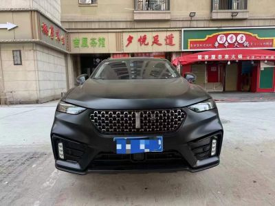 2021年6月 福特 Mustang Mach-E(进口) GT图片