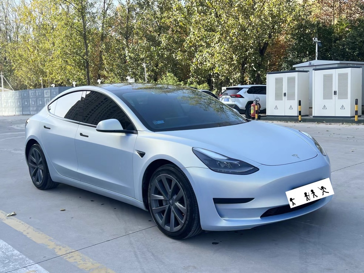 特斯拉 Model 3  2019款 標(biāo)準(zhǔn)續(xù)航后驅(qū)升級(jí)版圖片