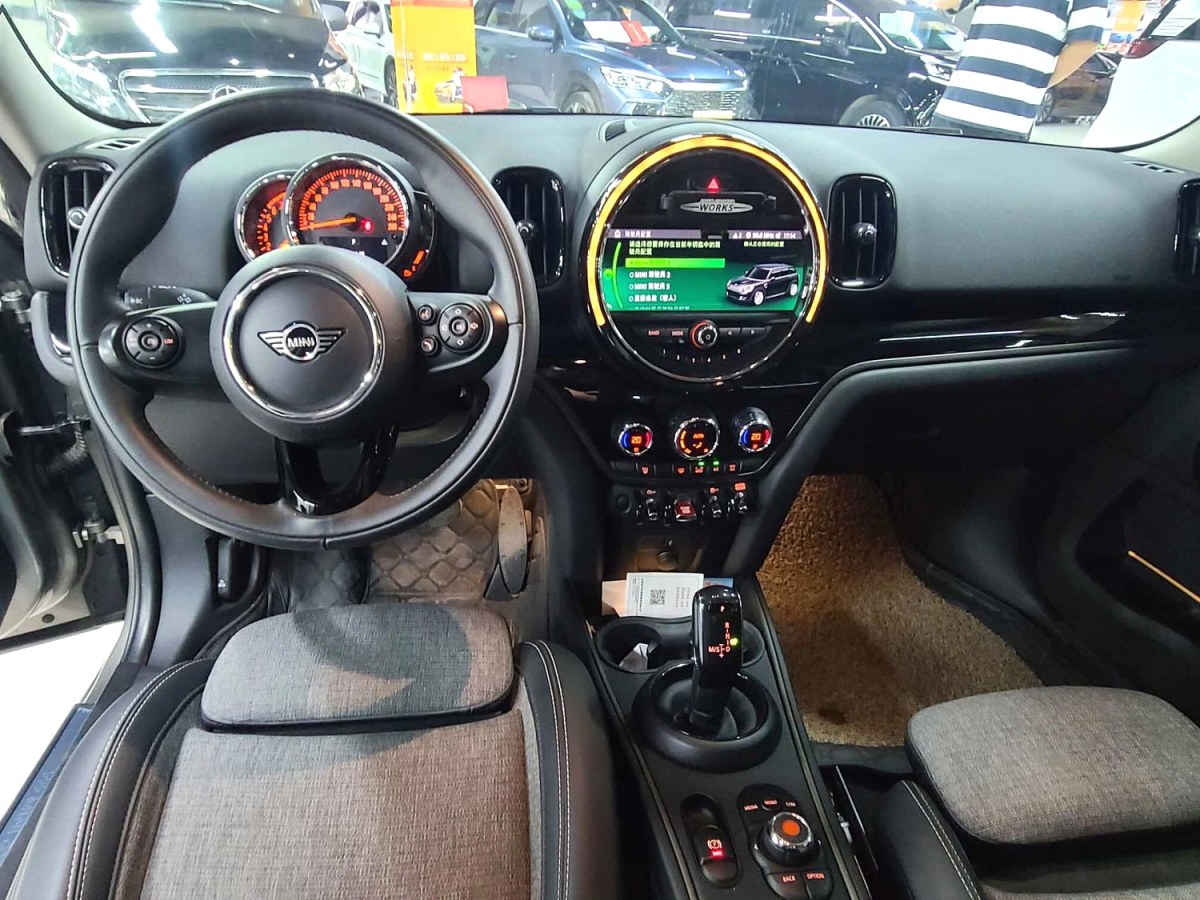 MINI COUNTRYMAN  2019款 2.0T COOPER S ALL4 艺术家图片