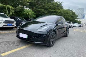 Model 3 特斯拉 Performance高性能全輪驅(qū)動(dòng)版