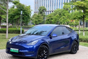 Model Y 特斯拉 改款 長續(xù)航全輪驅(qū)動版