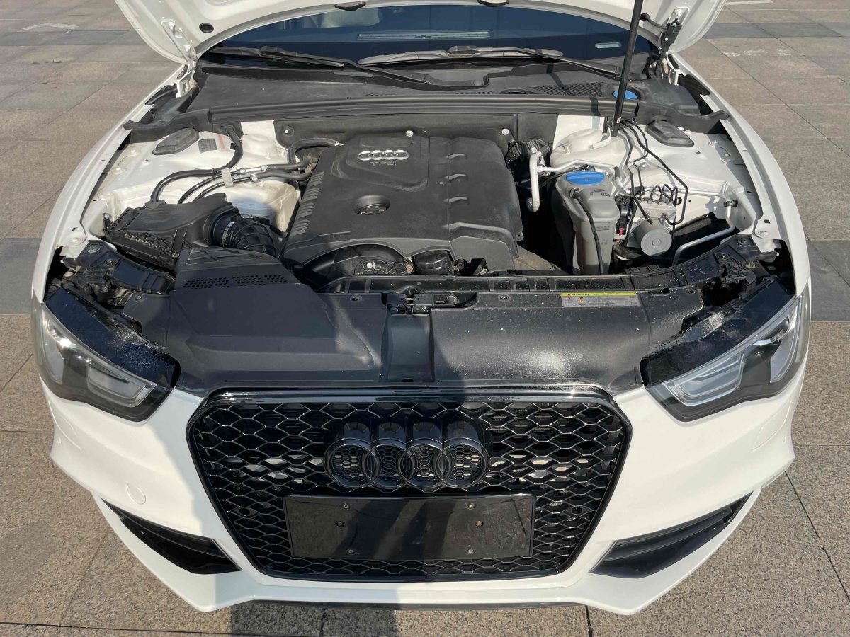 奧迪 奧迪A5  2012款 2.0TFSI Coupe quattro圖片