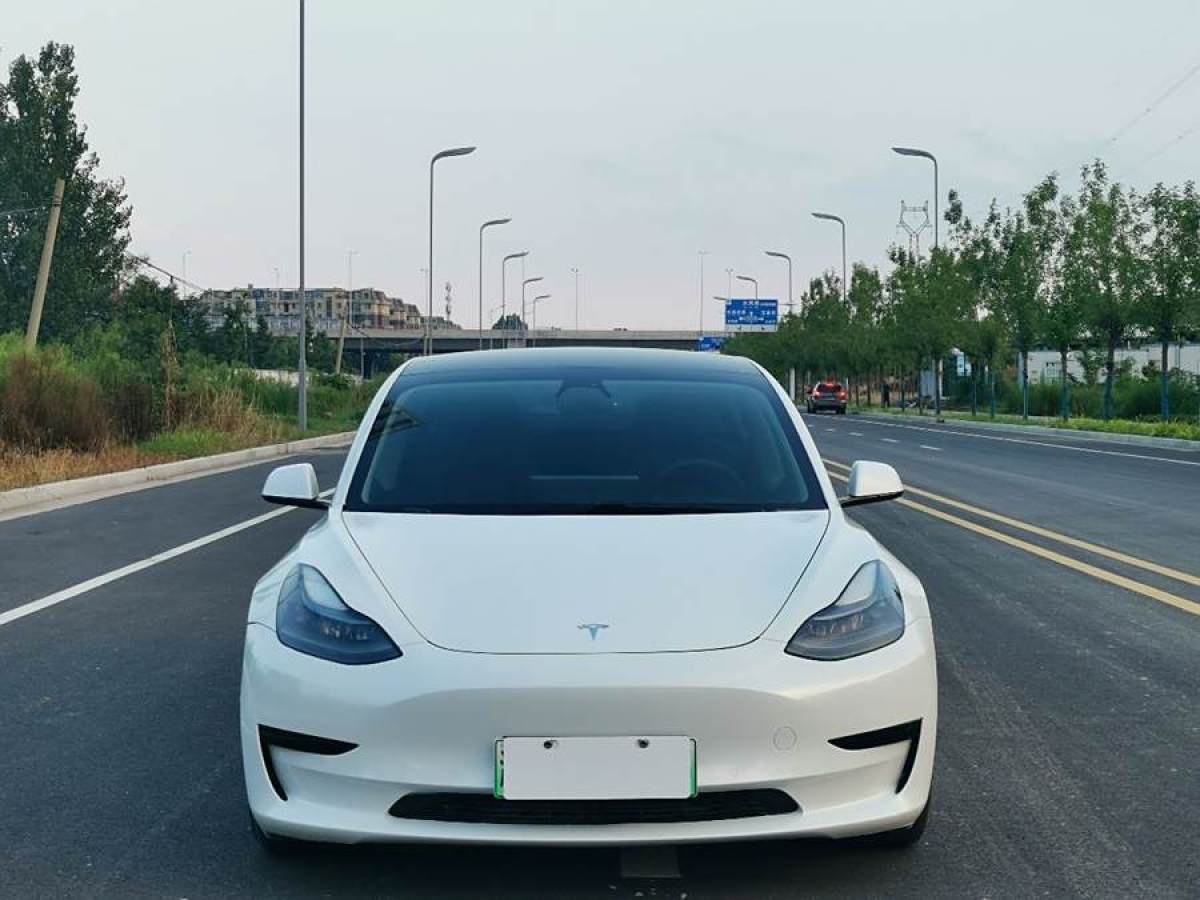 特斯拉 Model Y  2020款 改款 標(biāo)準(zhǔn)續(xù)航后驅(qū)升級版圖片