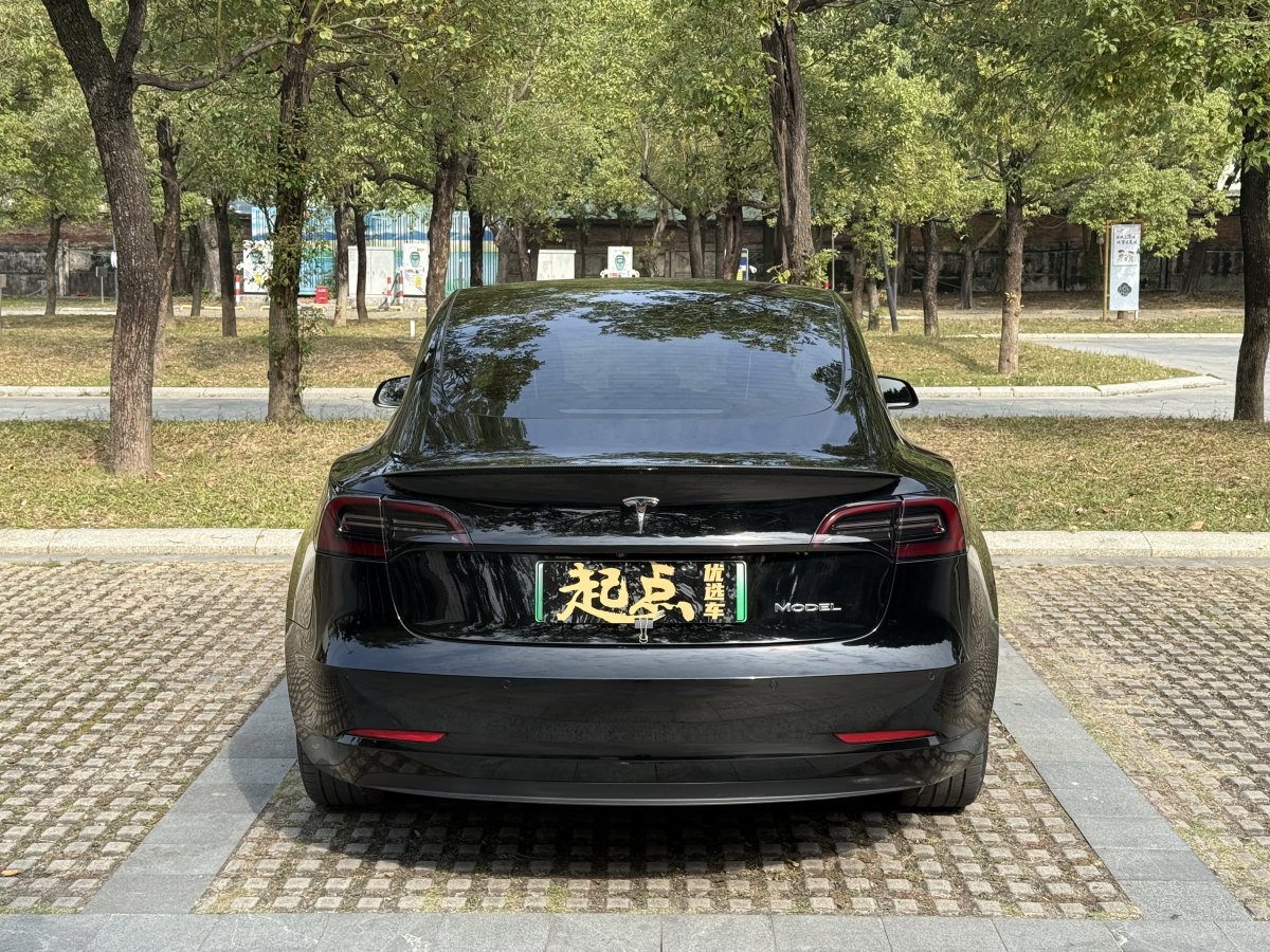 特斯拉 Model 3  2019款 標(biāo)準(zhǔn)續(xù)航后驅(qū)升級(jí)版圖片