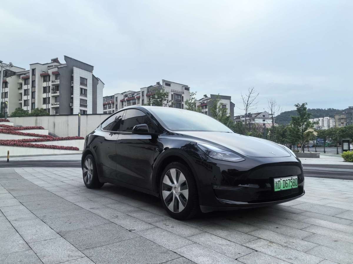 特斯拉 Model 3  2021款 標(biāo)準(zhǔn)續(xù)航后驅(qū)版圖片